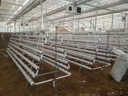 PVC Channel Hydroponic NFT Systems for Leafy Vegetable Growth