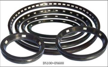 Sigma Seal Gasket