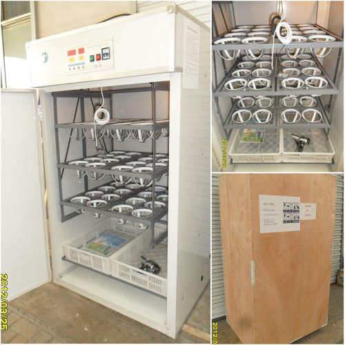 An Ostrich Egg Incubator That You Have Never Seen Before, High Quality