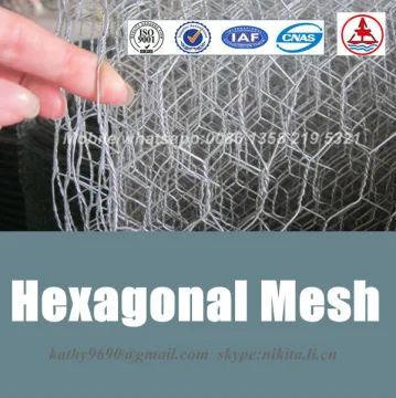 Electro Galvanized Hexagonal Wire Mesh/Galvanized Hexagonal Wire Mesh (anping factory)