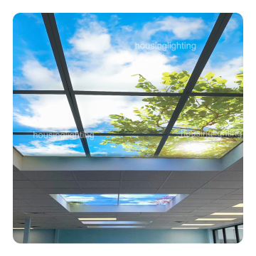 Natural Light 6060 LED空の天井パネルライト