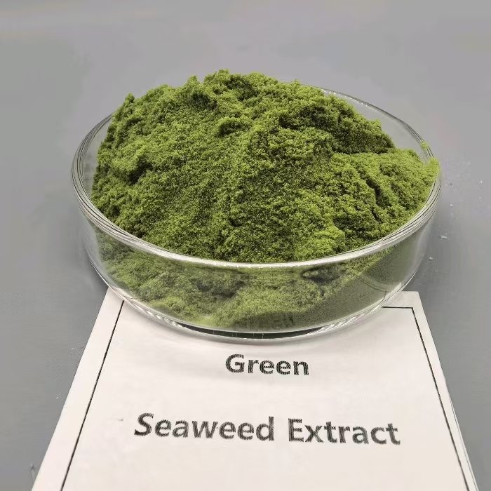 Organic biostimulant Green algae extract