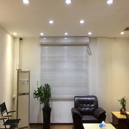 Automatic Security Garage Door Supplier