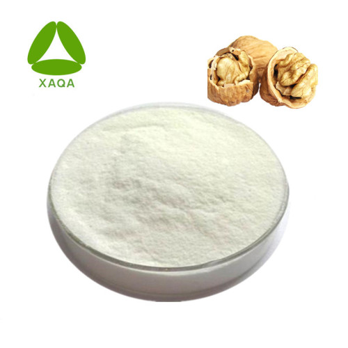 Soybean Peptide New Products Hot Selling Walnut Peptide Powder Price Manufactory