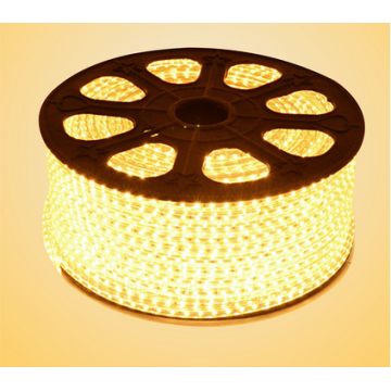 High voltage led strip 5050