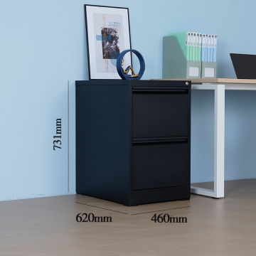 Moderne 2-lading stalen vergrendelingsafleidingskast met handgreep: ideaal huis, magazijn en workshopopslagoplossing