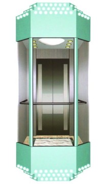 Sightseeing Villa Lift (TKJ550/1.0-JXW)