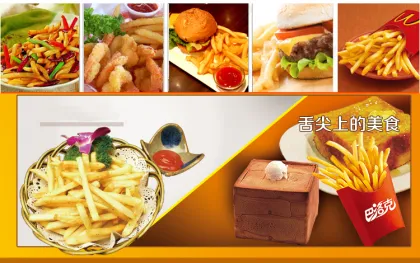 Countertop Food Warmer for Commercial French Fries and KFC Food Display