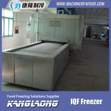 Hot Selling Frozen Chicken Leg Quarters Industrial Freezer