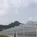 Skyplant Smart Smart Modern Agricultural Film Greenhouse