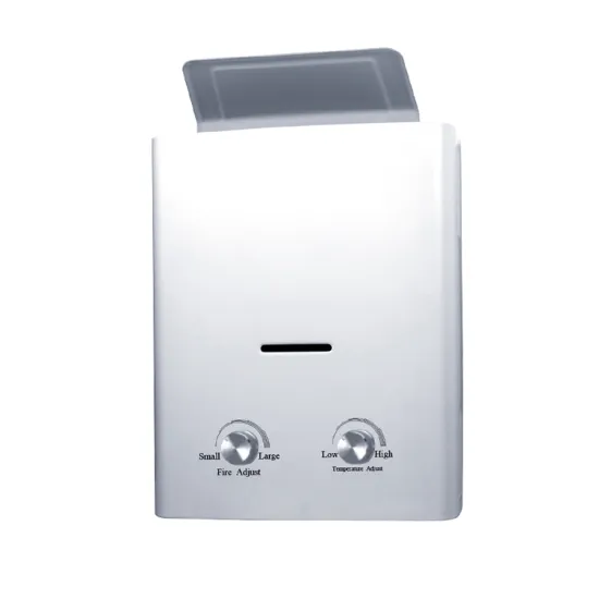 OEM European Style constant temperature gas water heater