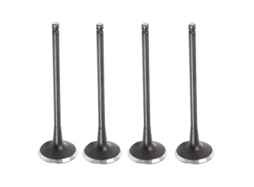 Exhaust Valve for Mercedes OM646 OM647 Engine