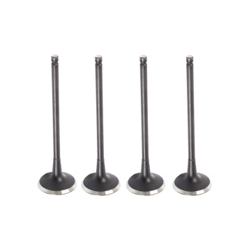 96352793 Exhaust Valve for Engine