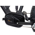 Premium Electric Mountainbikes zum Verkauf online