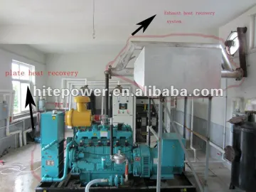 CHP system small biogas generator