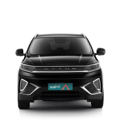 2023 Dayun Brand New Energy Electric Vehicle