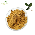 Premium Kacip Fatima Extract for Natural Remedies