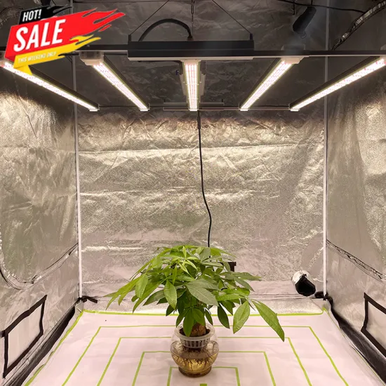 High Umol Led Grow Light 730W