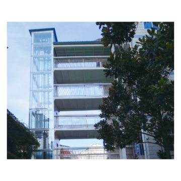 MSDS Traction Residential Elevature für die Heimnutzung in Villen und Häusern