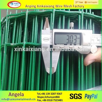 PVC coated Holland wire mesh / 1x1 pvc coated welded wire mesh (factory)