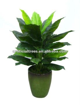 Artificial Dieffenbachia