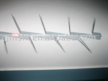 bird spike