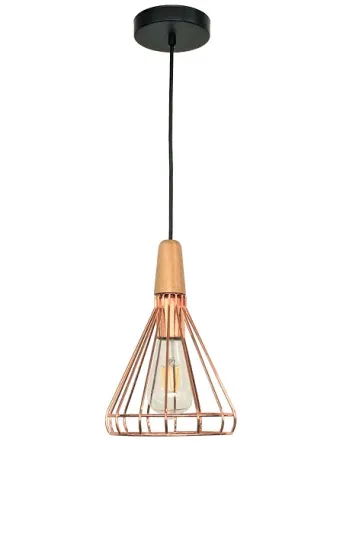 Dining suspending lighting Led Lamp Modern