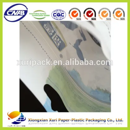 Custom Snack Packaging/Melon Seeds Bag