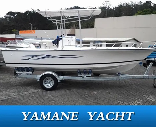 6m canopy frp center console fishing boat