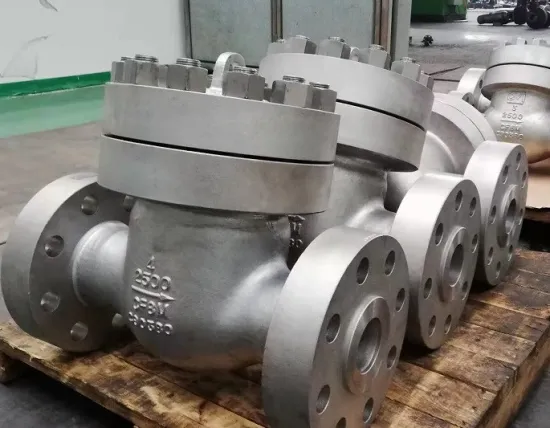 Stainless Steel High Pressure Check Valve