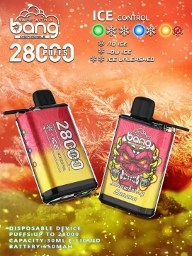 Bang 28000 Puffs Ice Control Eliquid Vapes