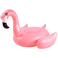 shishiradigan flamingo basseynasi ulkan portlash naychasini suzadi