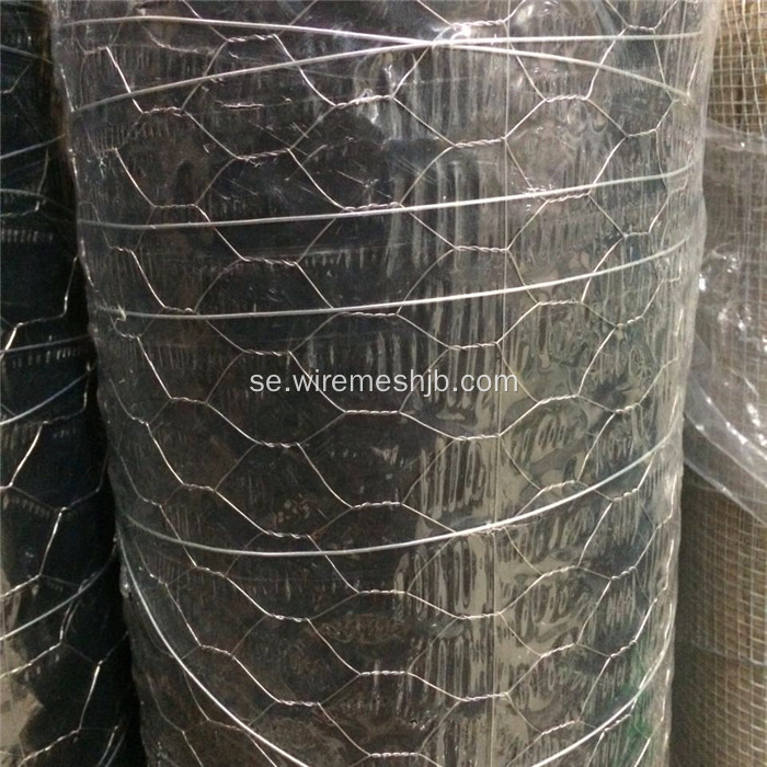 PVC Coted Hexagonal Wire Netting För Kyckling House