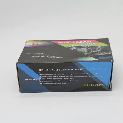 Anhui YouXin Intelligent Universal Battery Charger - 12v, 24v, 72v