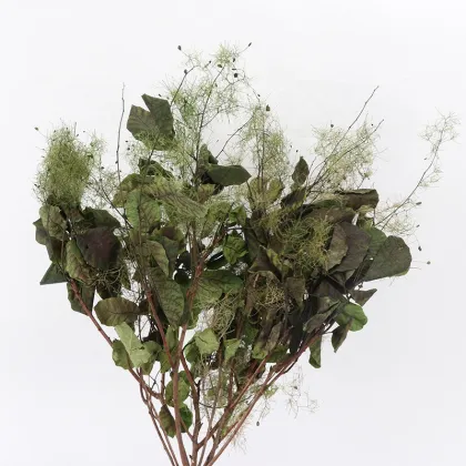 Wholesale Eternal Flower Smoke Tree for Floral Arrangements