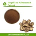 Angelicae Pubescentis Extract DoubleTh Angelica-Wurzel