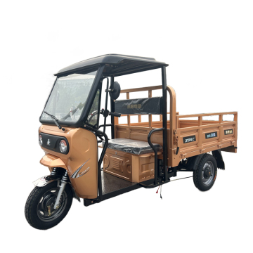 Motosikal Tricycle Golden Electric