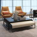 Two Set Modern Designer Coffee Table