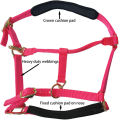 Horse Halter Adjustable With Cushioned Padding