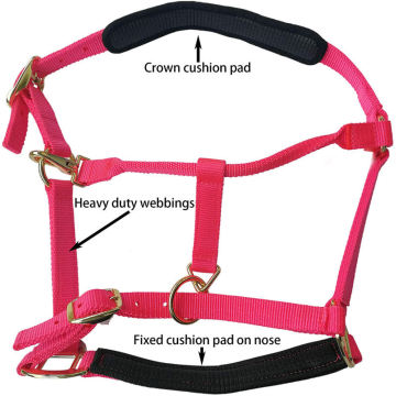 Horse Halter Adjustable With Cushioned Padding