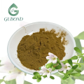 Extracto de Bacopa Monnieri para suplementos dietéticos