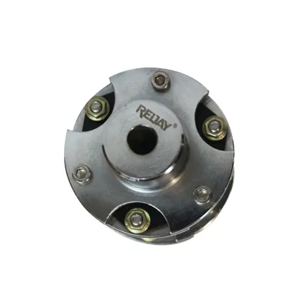 R+W LP1 S 1600 Configuration SU SX SXCST Disc Coupling for Mining