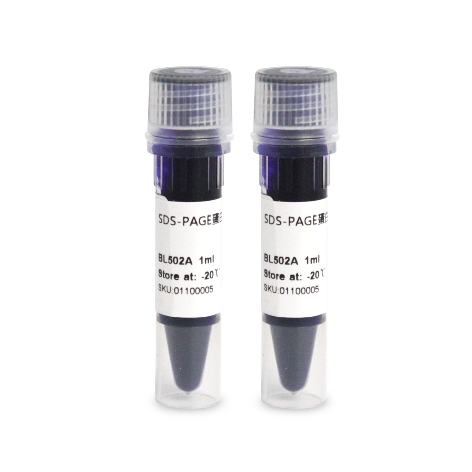 SDS-PAGE بروتين تحميل المخزن المؤقت (5X) SDS-PAGE protein loading buffer (5X)