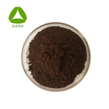 Natural Aged Ferment Black Garlic Extract Powder