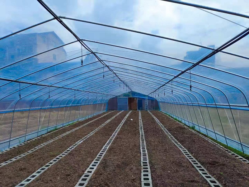 Qingcheng Agriculture's Single-Unit Arched Greenhouse Project in Hechuan Successfully Launched, Boosting the Quality and Efficiency of Suburban Facility Agriculture