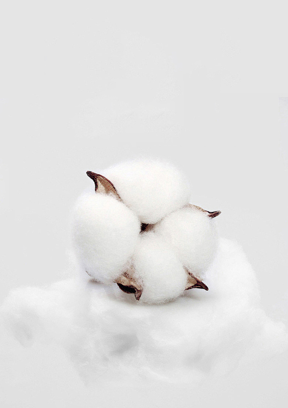 Hospitality Spiral Flat Weavin2