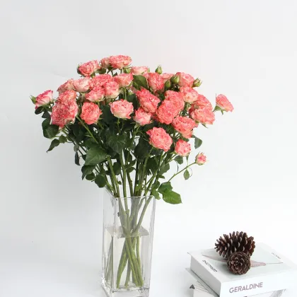 2022 Newest Wholesale Fresh Cut Flowers Spray Head Roses for Home Decoration