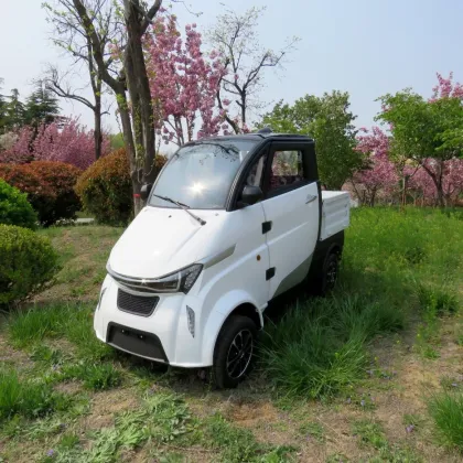 Battery Power Special New Energy Van Truck