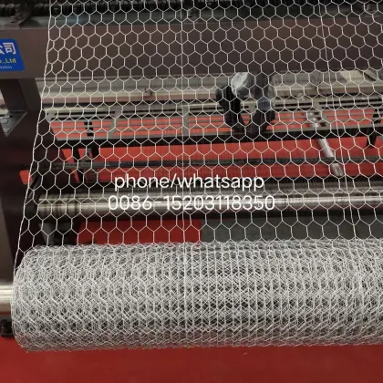 Wire Mesh Poultry Wire Net Mesh