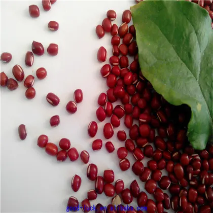 new crop azuki beans(heilongjiang)